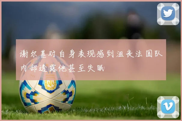谢尔基对自身表现感到沮丧法国队内部透露他甚至失眠